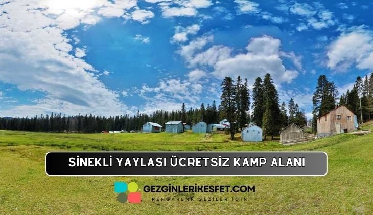 Bolu Sinekli Yaylası Kamp Alanı
