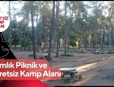Çamlık Piknik ve Ücretsiz Kamp Alanı
