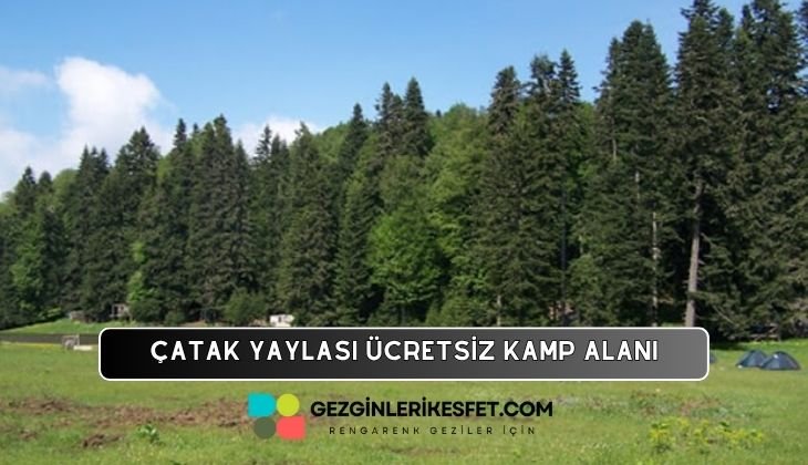 Çatak Yaylası Kamp Alanı