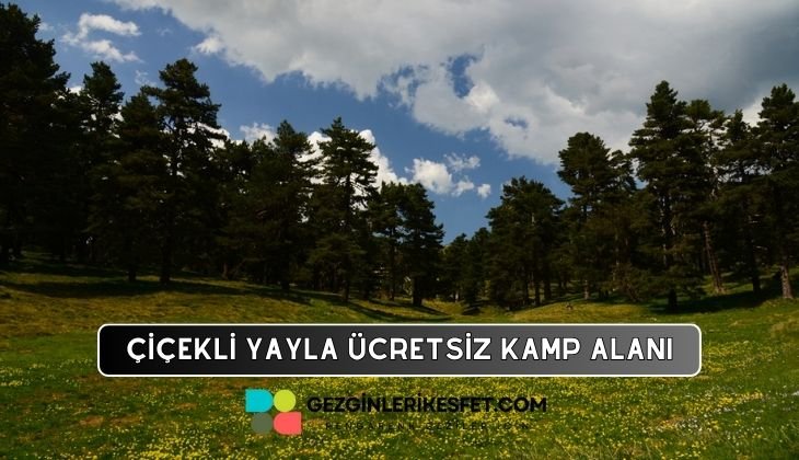 Çiçekli Yayla Kamp Alanı