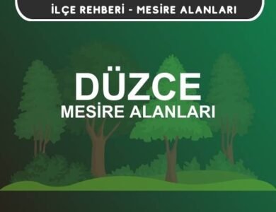 Düzce Mesire Alanları Listesi - Kamp ve Piknik Yerleri