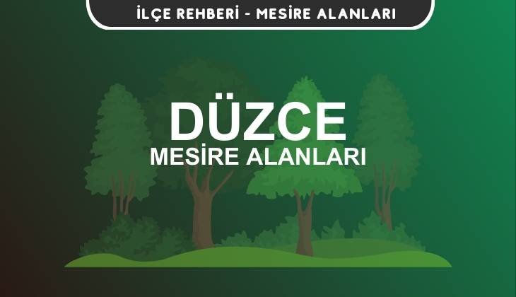 Düzce Mesire Alanları Listesi - Kamp ve Piknik Yerleri