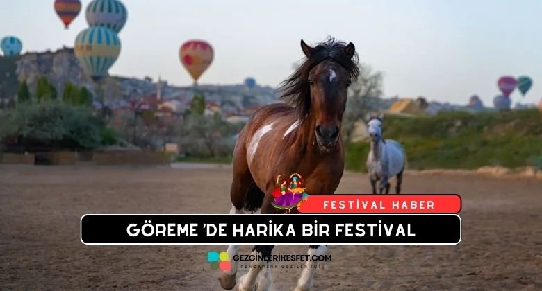 Kapadokya At ve Atçılık Kültürü Festivali