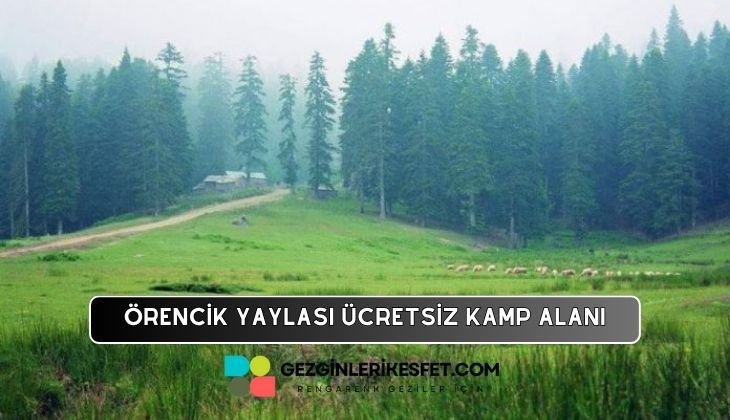 Örencik Yaylası Kamp Alanı