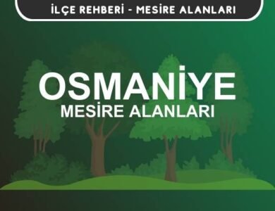 Osmaniye Mesire Alanları Listesi - Kamp ve Piknik Yerleri