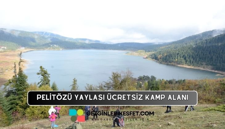 Pelitözü Yaylası Kamp Alanı