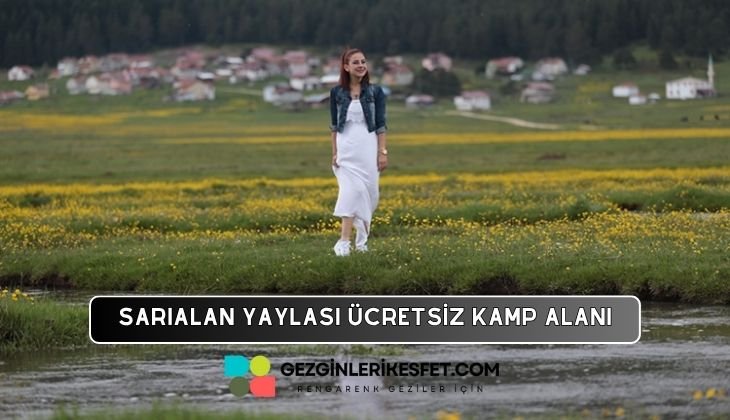 Sarıalan Yaylası Kamp Alanı