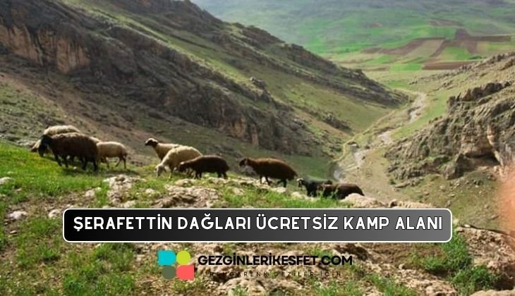 Şerafettin Dağları Kamp Alanı