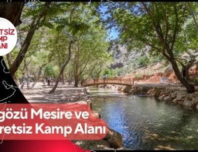 Sugözü Ücretsiz Kamp Alanı