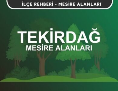 Tekirdağ Mesire Alanları Listesi - Kamp ve Piknik Yerleri