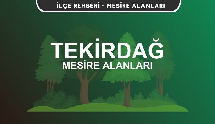 Tekirdağ Mesire Alanları Listesi - Kamp ve Piknik Yerleri