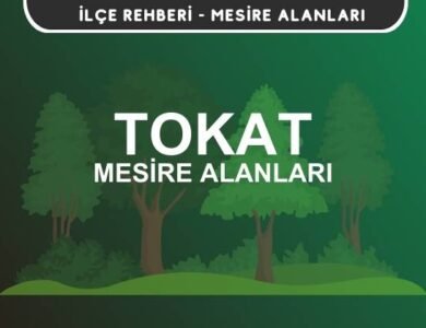 Tokat Mesire Alanları Listesi - Kamp ve Piknik Yerleri
