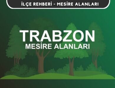 Trabzon Mesire Alanları Listesi - Kamp ve Piknik Yerleri