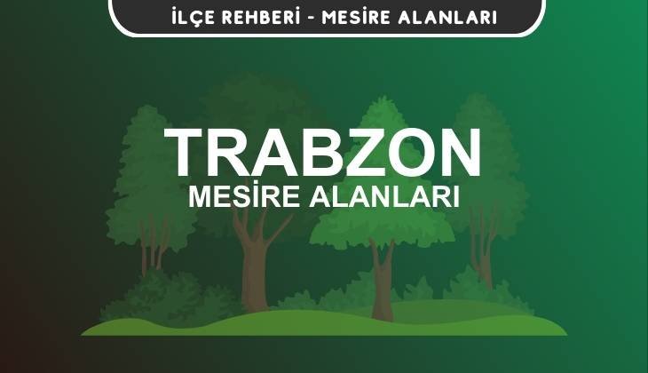 Trabzon Mesire Alanları Listesi - Kamp ve Piknik Yerleri