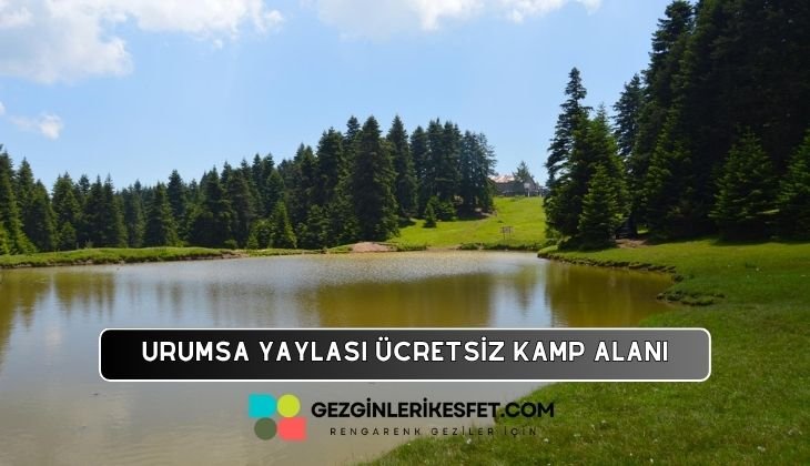 Urumsa Yaylası Kamp Alanı