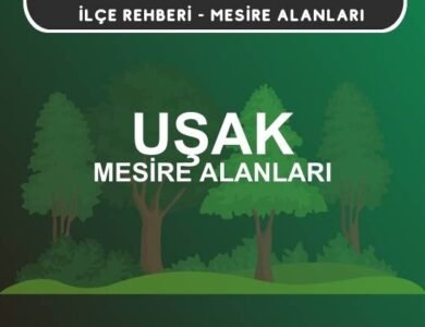 Uşak Mesire Alanları Listesi - Kamp ve Piknik Yerleri