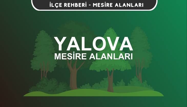 Yalova Mesire Alanları Listesi - Kamp ve Piknik Yerleri