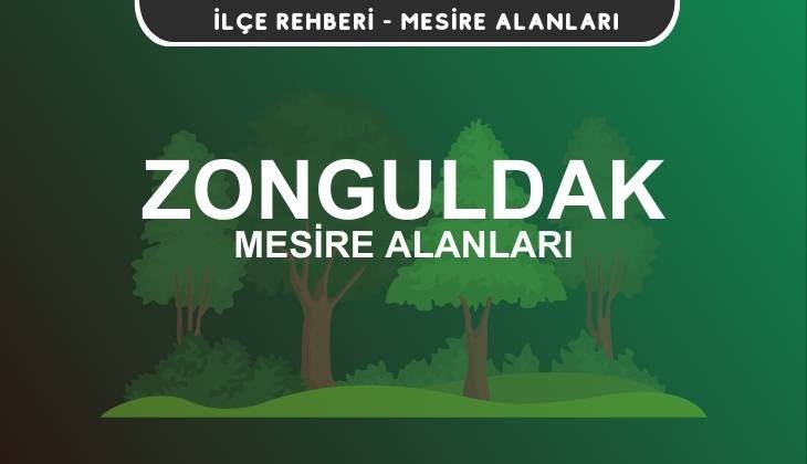 Zonguldak Mesire Alanları Listesi - Kamp ve Piknik Yerleri