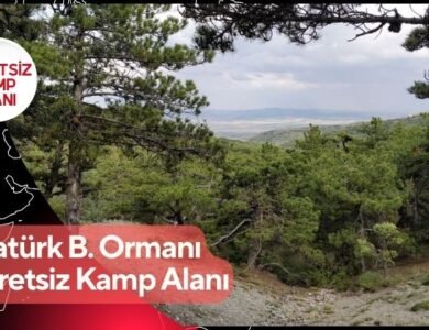 Atatürk Beynam Ormanı Ücretsiz Kamp Alanı