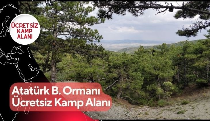 Atatürk Beynam Ormanı Ücretsiz Kamp Alanı