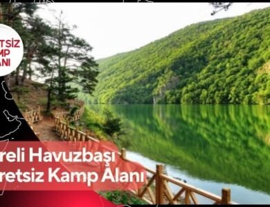 Dereli Havuzbaşı Ücretsiz Kamp Alanı