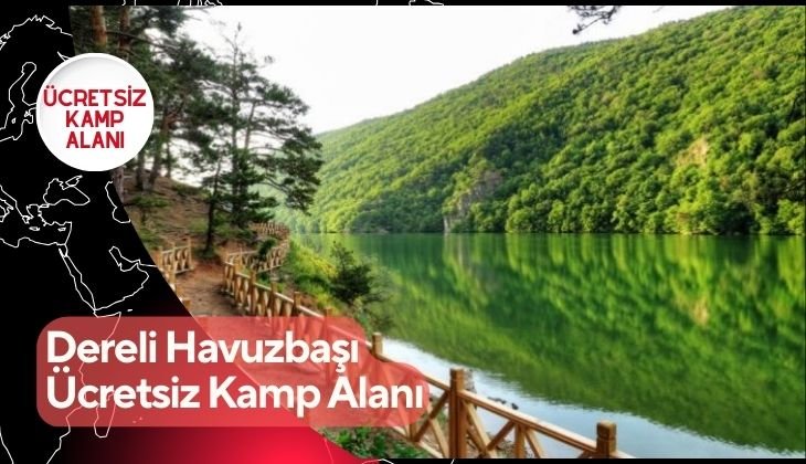 Dereli Havuzbaşı Ücretsiz Kamp Alanı