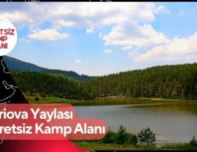 Eğriova Yaylası Ücretsiz Kamp Alanı