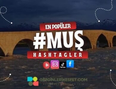 Muş En Popüler Hashtagler - Instagram - Tiktok - Shorts