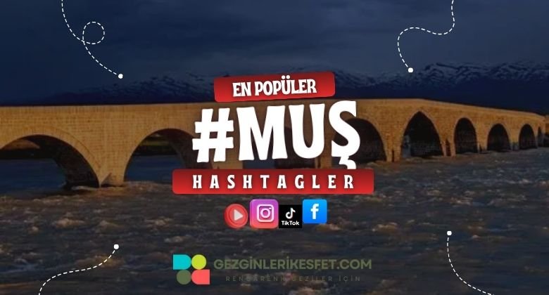 Muş En Popüler Hashtagler - Instagram - Tiktok - Shorts