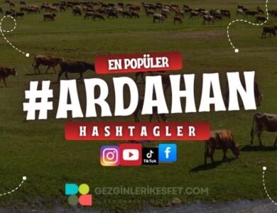 Ardahan En Popüler Hashtagler - Instagram - Tiktok - Shorts