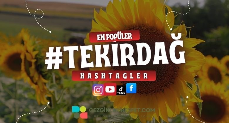 Tekirdağ En Popüler Hashtagler - Instagram - Tiktok - Shorts
