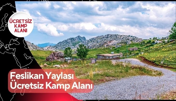 Feslikan Yaylası Ücretsiz Kamp Alanı