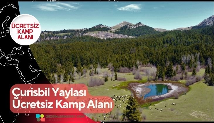Çurisbil Yaylası Ücretsiz Kamp Alanı
