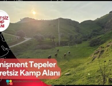 Danişment Tepeler Ücretsiz Kamp Alanı