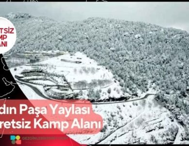 Paşa Yaylası Ücretsiz Kamp Alanı