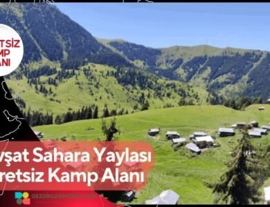 Şavşat Sahara Yaylası Ücretsiz Kamp Alanı