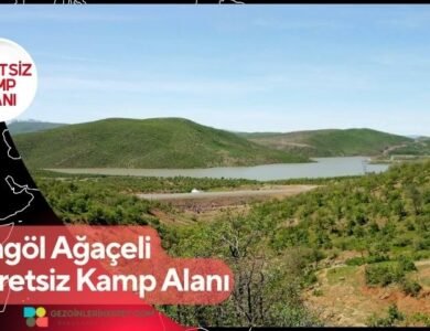 Bingöl Ağaçeli Ücretsiz Kamp Alanı