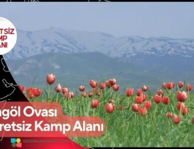 Bingöl Ovası Ücretsiz Kamp Alanı