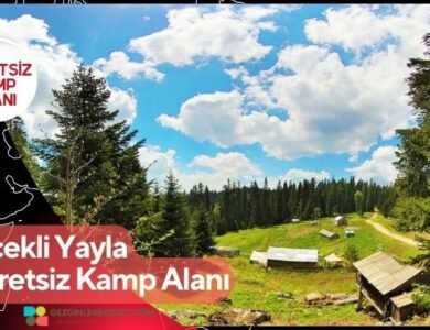 Çiçekli Yayla Ücretsiz Kamp Alanı