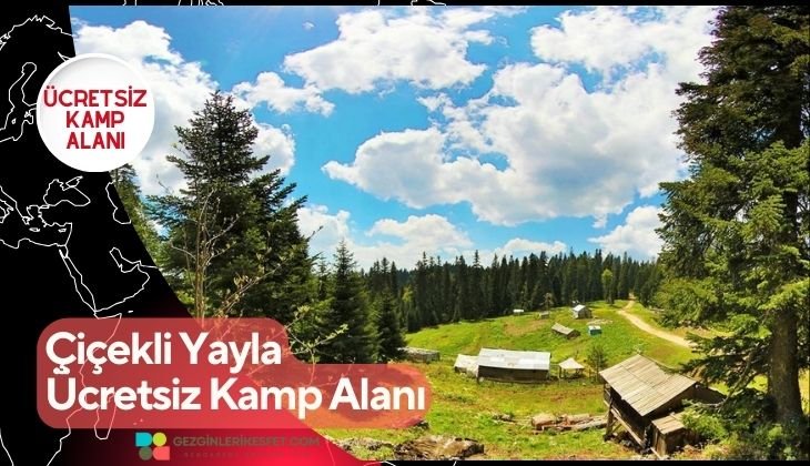 Çiçekli Yayla Ücretsiz Kamp Alanı