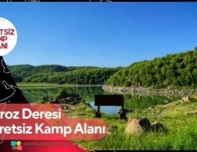 Horoz Deresi Ücretsiz Kamp Alanı