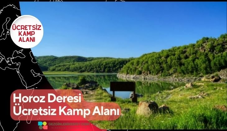 Horoz Deresi Ücretsiz Kamp Alanı