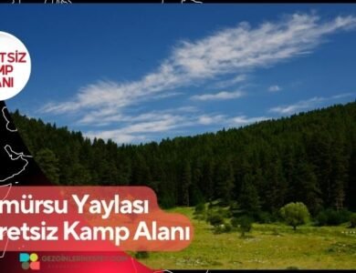 Kömürsu Yaylası Ücretsiz Kamp Alanı