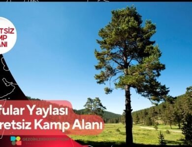 Sofular Yaylası Ücretsiz Kamp Alanı