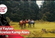 At Yaylası Ücretsiz Kamp Alanı At Yaylası Ücretsiz Kamp Alanı