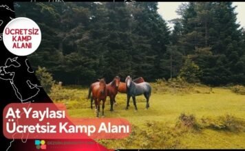 At Yaylası Ücretsiz Kamp Alanı At Yaylası Ücretsiz Kamp Alanı