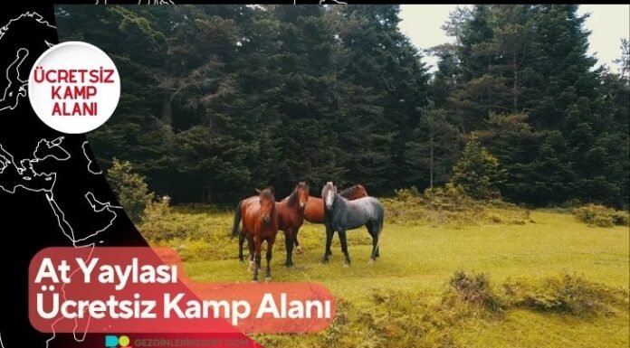 At Yaylası Ücretsiz Kamp Alanı At Yaylası Ücretsiz Kamp Alanı
