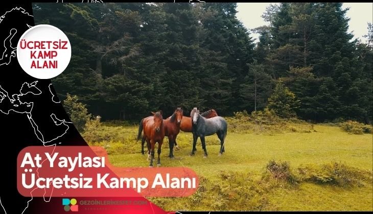 At Yaylası Ücretsiz Kamp Alanı