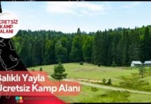 Balıklı Yayla Ücretsiz Kamp Alanı Balıklı Yayla Ücretsiz Kamp Alanı