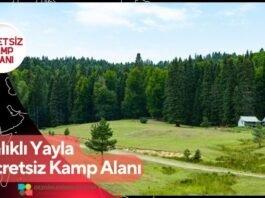 Balıklı Yayla Ücretsiz Kamp Alanı
